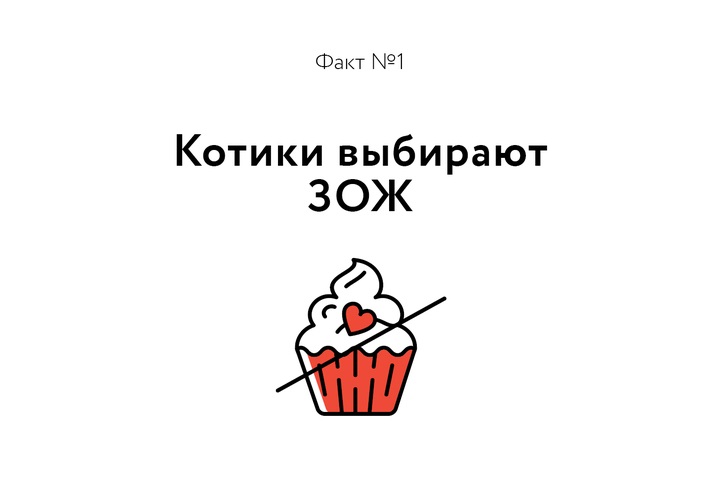 Факт о котиках