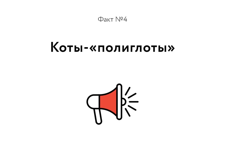 Факт о котиках