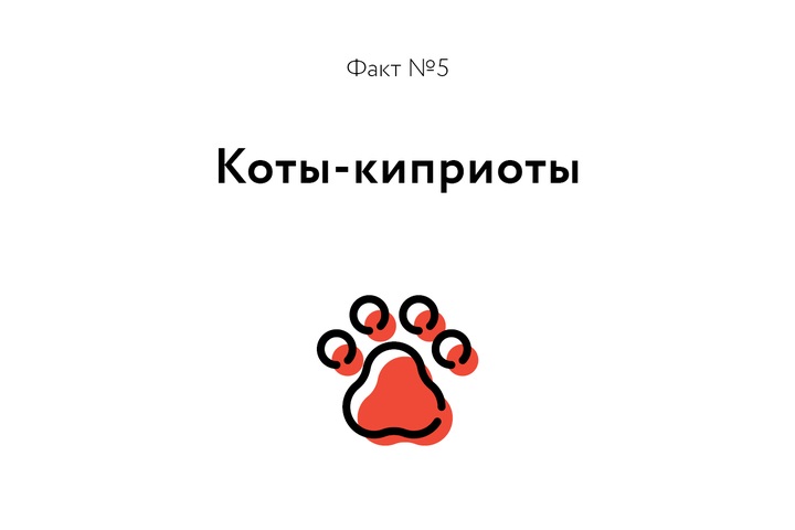 Факт о котиках
