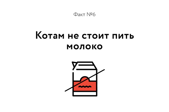 Факт о котиках