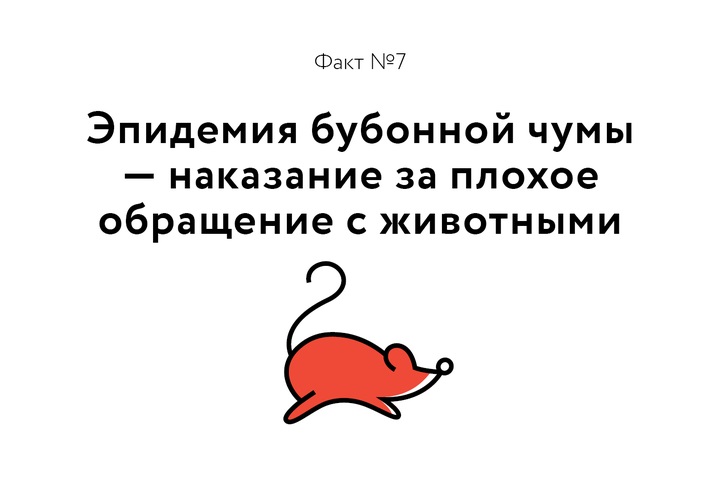 Факт о котиках