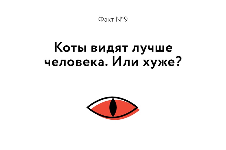 Факт о котиках